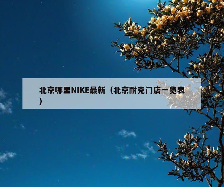 北京哪里NIKE最新(北京耐克门店一览表)