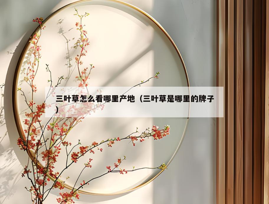 三叶草怎么看哪里产地(三叶草是哪里的牌子)