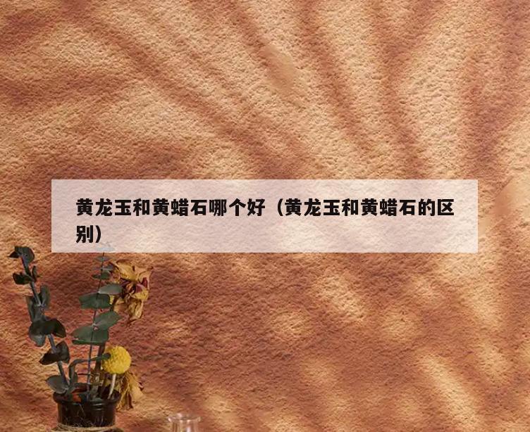 黄龙玉和黄蜡石哪个好(黄龙玉和黄蜡石的区别)