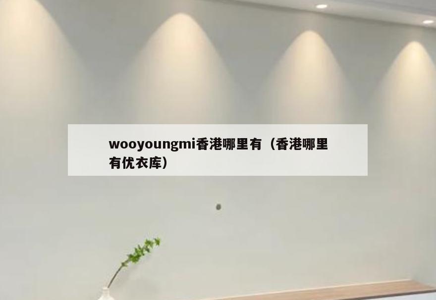 wooyoungmi香港哪里有(香港哪里有优衣库)