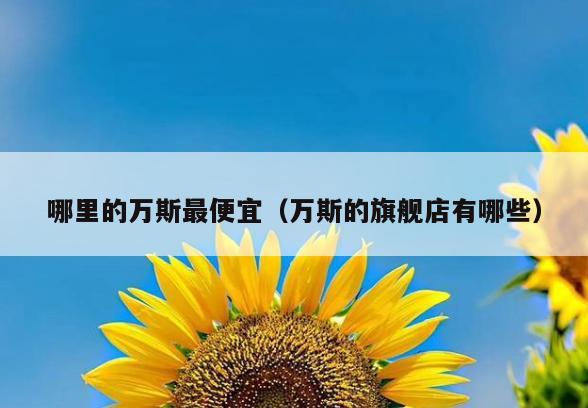 哪里的万斯最便宜(万斯的旗舰店有哪些)