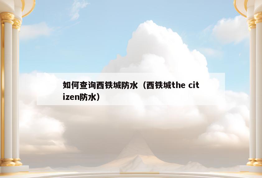 如何查询西铁城防水(西铁城the citizen防水)