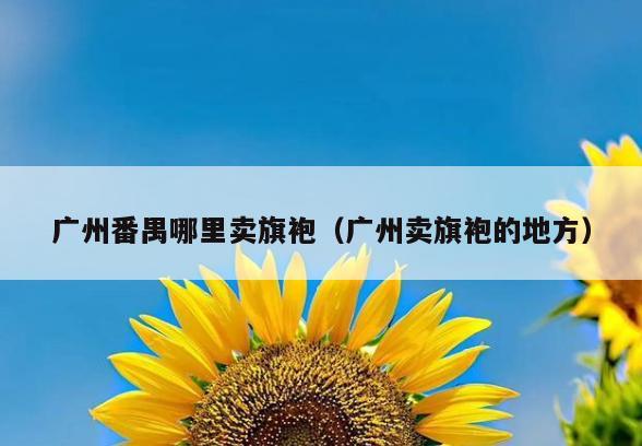 广州番禺哪里卖旗袍(广州卖旗袍的地方)