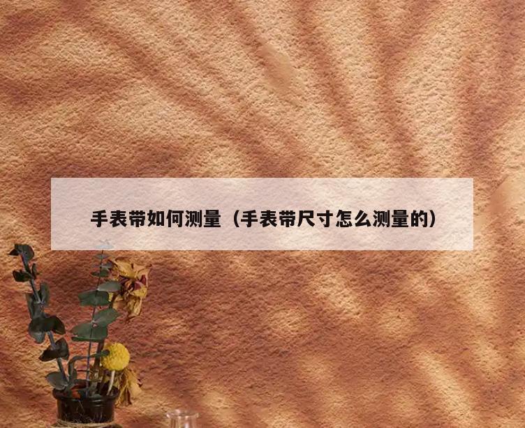 手表带如何测量(手表带尺寸怎么测量的)