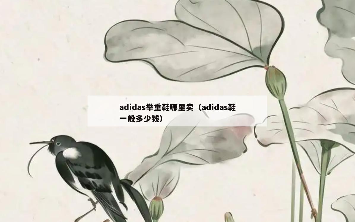 adidas举重鞋哪里卖(adidas鞋一般多少钱)