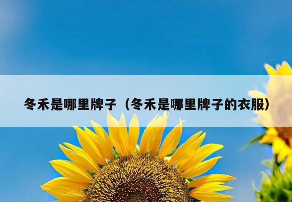 冬禾是哪里牌子(冬禾是哪里牌子的衣服)