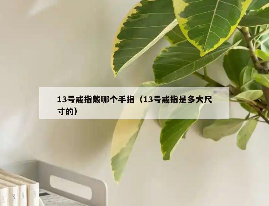 13号戒指戴哪个手指(13号戒指是多大尺寸的)