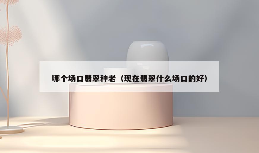 哪个场口翡翠种老(现在翡翠什么场口的好)