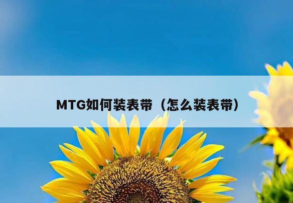 MTG如何装表带(怎么装表带)