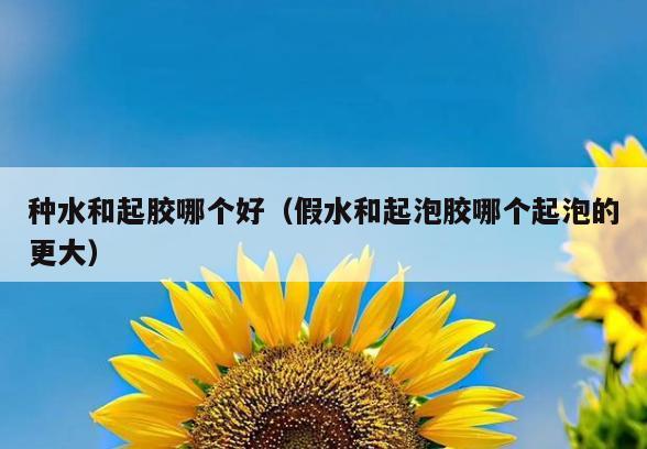 种水和起胶哪个好(假水和起泡胶哪个起泡的更大)