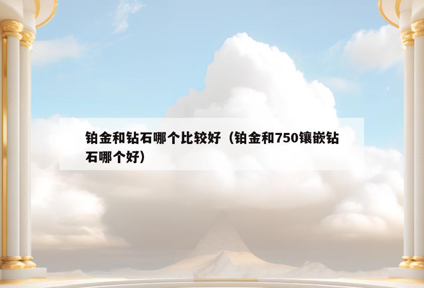 铂金和钻石哪个比较好(铂金和750镶嵌钻石哪个好)
