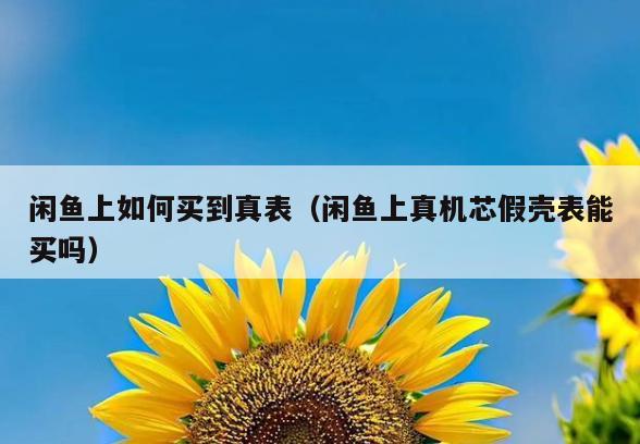 闲鱼上如何买到真表(闲鱼上真机芯假壳表能买吗)