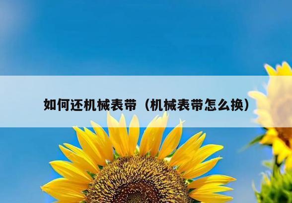 如何还机械表带(机械表带怎么换)