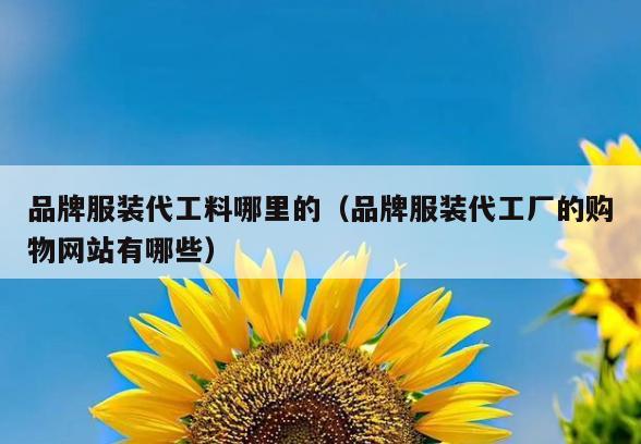 品牌服装代工料哪里的(品牌服装代工厂的购物网站有哪些)