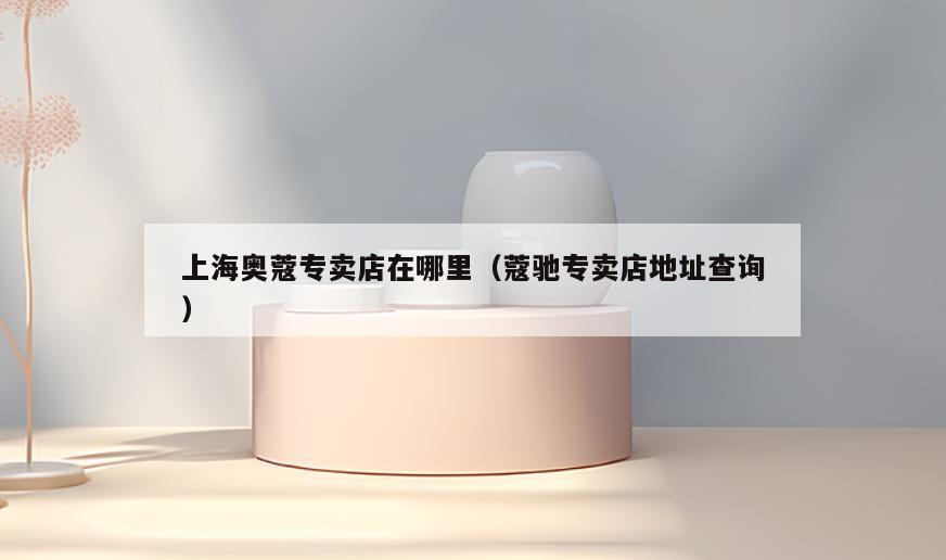 上海奥蔻专卖店在哪里(蔻驰专卖店地址查询)