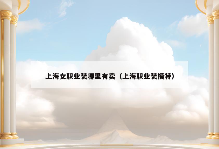 上海女职业装哪里有卖(上海职业装模特)
