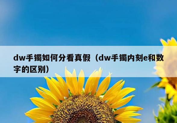 dw手镯如何分看真假(dw手镯内刻e和数字的区别)