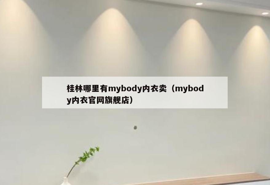 桂林哪里有mybody内衣卖(mybody内衣官网旗舰店)
