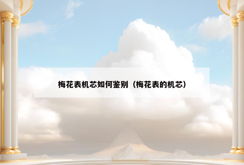 梅花表机芯如何鉴别(梅花表的机芯)