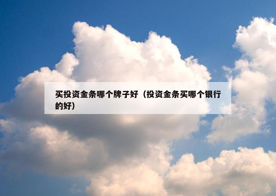 买投资金条哪个牌子好(投资金条买哪个银行的好)