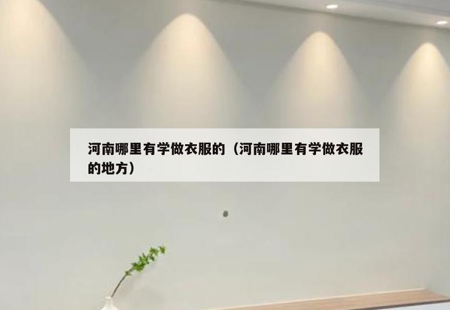 河南哪里有学做衣服的(河南哪里有学做衣服的地方)