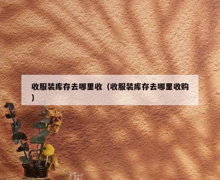 收服装库存去哪里收(收服装库存去哪里收购)
