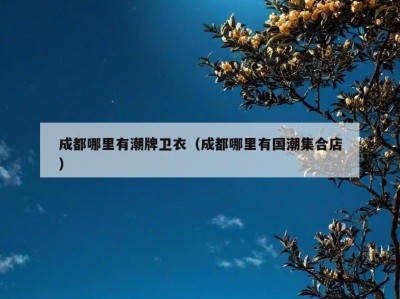 成都哪里有潮牌卫衣（成都哪里有国潮集合店）