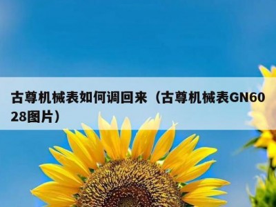 古尊机械表如何调回来（古尊机械表GN6028图片）