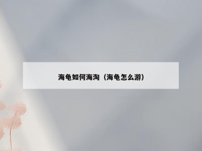 海龟如何海淘（海龟怎么游）