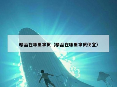 精品在哪里拿货（精品在哪里拿货便宜）