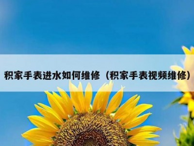 积家手表进水如何维修（积家手表视频维修）