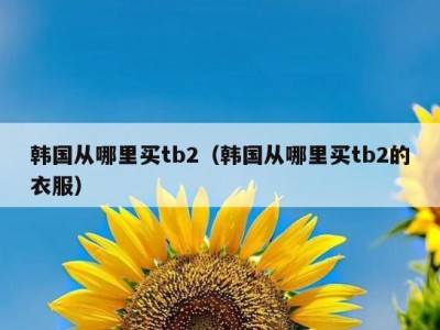 韩国从哪里买tb2（韩国从哪里买tb2的衣服）
