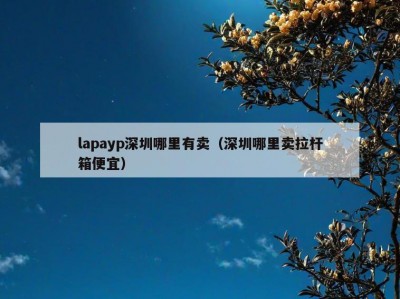 lapayp深圳哪里有卖（深圳哪里卖拉杆箱便宜）