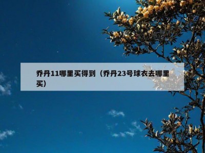 乔丹11哪里买得到（乔丹23号球衣去哪里买）
