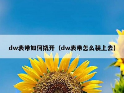 dw表带如何撬开（dw表带怎么装上去）