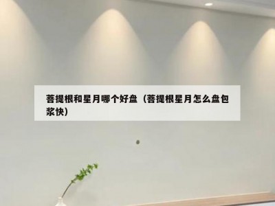 菩提根和星月哪个好盘（菩提根星月怎么盘包浆快）