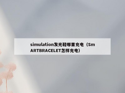 simulation发光鞋哪里充电（SmARTBRACELET怎样充电）