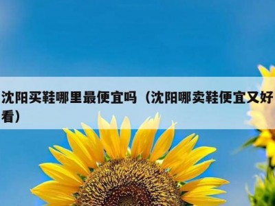 沈阳买鞋哪里最便宜吗（沈阳哪卖鞋便宜又好看）