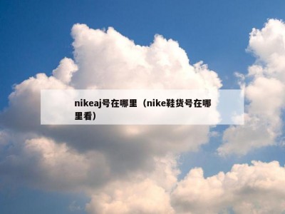 nikeaj号在哪里（nike鞋货号在哪里看）