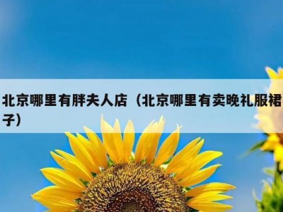 北京哪里有胖夫人店（北京哪里有卖晚礼服裙子）