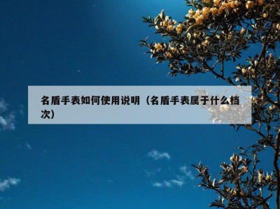 名盾手表如何使用说明（名盾手表属于什么档次）