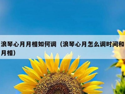 浪琴心月月相如何调（浪琴心月怎么调时间和月相）