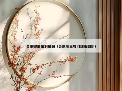 合肥哪里做羽绒服（合肥哪里有羽绒服翻新）