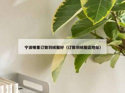 宁波哪里订做羽绒服好（订做羽绒服店地址）