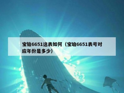 宝铂6651这表如何（宝珀6651表号对应年份是多少）