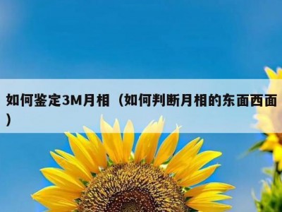 如何鉴定3M月相（如何判断月相的东面西面）