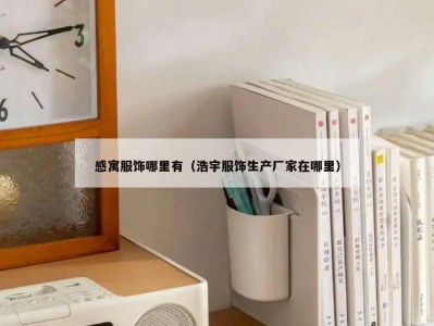 感寓服饰哪里有（浩宇服饰生产厂家在哪里）