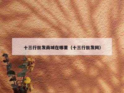 十三行批发商城在哪里（十三行批发网）