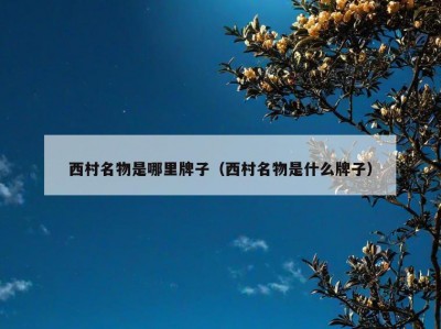 西村名物是哪里牌子（西村名物是什么牌子）