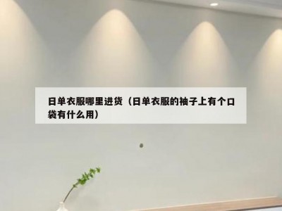 日单衣服哪里进货（日单衣服的袖子上有个口袋有什么用）